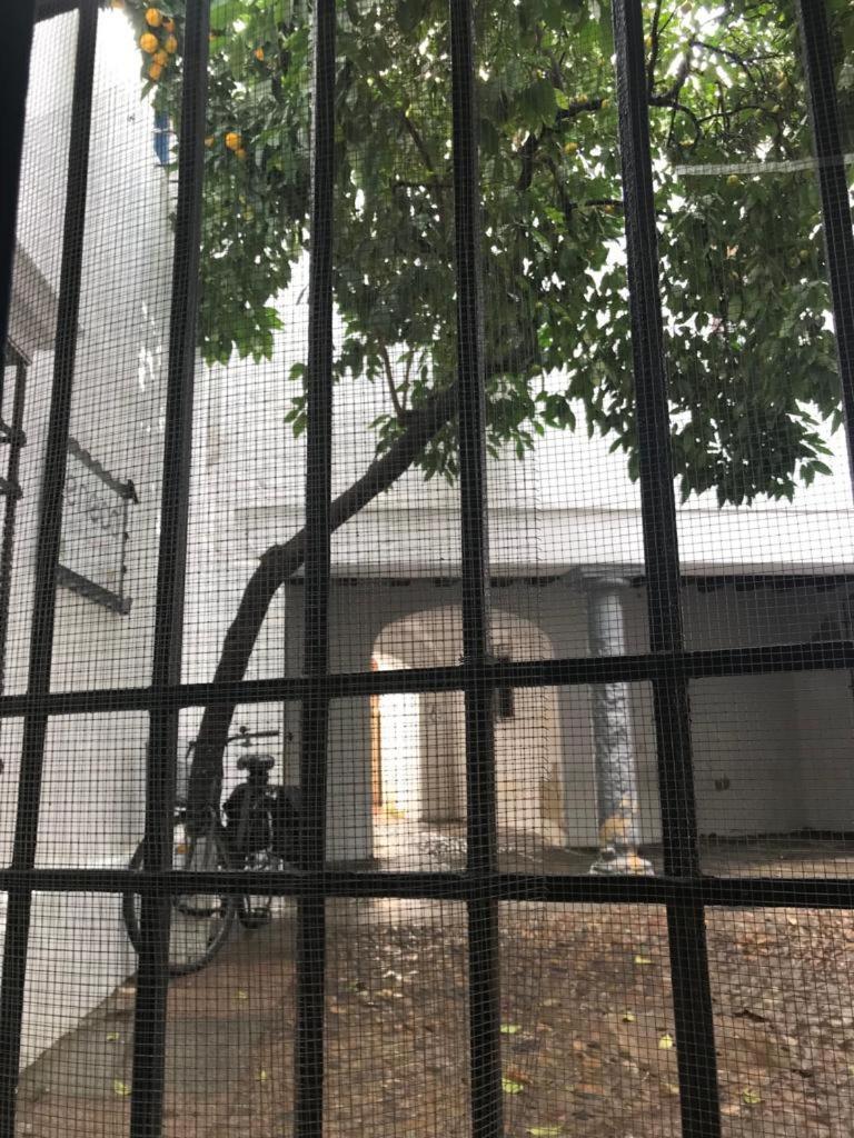 Seneca Hostel กอร์โดบา ภายนอก รูปภาพ